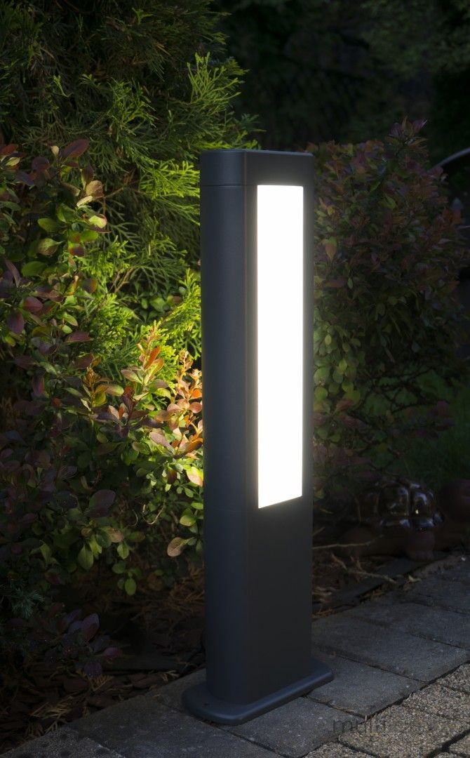 Lampa stojąca Evo H50 w ciemnym popiele z dwoma źródłami LED 12W. Prosty, prostokątny kształt z białą, podświetlaną powierzchnią. Ustawiona na ziemi, w otoczeniu roślinności, tworzy przyjemną atmosferę oświetlenia w ogrodzie.