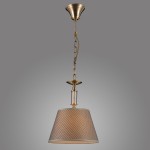 Lampa wisząca Zanobi PND-43272-1, z metalowym, złotym wykończeniem i kloszem w kolorze brązowym z siateczkowym wzorem. Ujęcie frontalne, lampa zawieszona na łańcuchu, z widocznym elementem mocującym. Tło szare, minimalistyczne.
