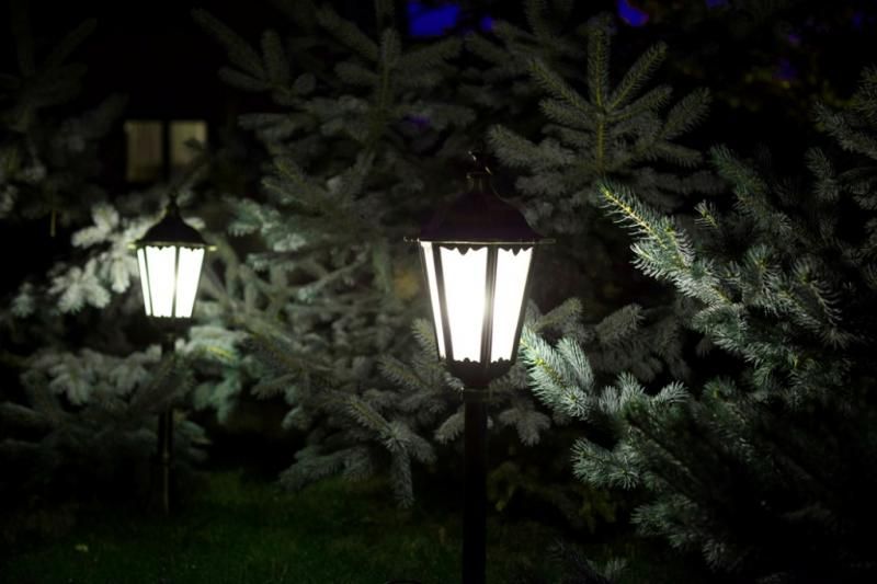 Czarna lampa stojąca Retro Classic H164 o 1 punkcie świetlnym, z kloszem w kształcie latarni, umieszczona w ogrodzie, wśród iglastych roślin. Lampa świeci jasnym światłem, tworząc przyjemną atmosferę.