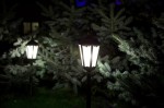 Czarna lampa stojąca Retro Classic H164 o 1 punkcie świetlnym, z kloszem w kształcie latarni, umieszczona w ogrodzie, wśród iglastych roślin. Lampa świeci jasnym światłem, tworząc przyjemną atmosferę.