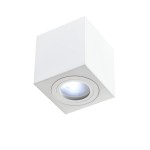 Lago Bianco lampa sufitowa 1-punktowa IP44