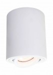 Biała lampa sufitowa Tulon LP-5441/1SM WH w formie cylindrycznej, z jednym punktem świetlnym. Ujęcie frontalne, lampa montowana na suficie, z widoczną żarówką w środku, minimalistyczny design.