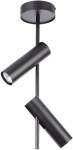 Leda lampa sufitowa 2-punktowa, czarna, z dwoma cylindrycznymi kloszami ustawionymi pod różnymi kątami. Metalowa konstrukcja, mocowana do sufitu. Prosty design, idealna do nowoczesnych wnętrz.