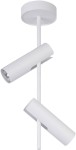 Leda lampa sufitowa 2-punktowa w kolorze białym z dwoma cylindrycznymi kloszami, umieszczona na prostym, pionowym ramieniu. Klosze skierowane w różnych kierunkach, zapewniające regulację światła. Minimalistyczny design pasujący do nowoczesnych wnętrz.