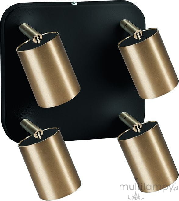 Lampa sufitowa Eye Spot 4-punktowa w kolorze czarnym z mosiężnymi kloszami. Klosze ustawione na prostokątnej czarnej podstawie, każdy z możliwością regulacji. Elegancki design, idealna do nowoczesnych wnętrz.