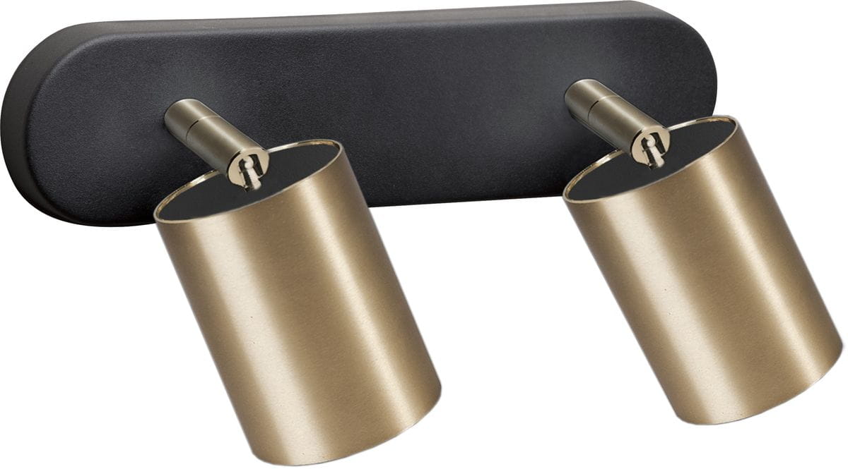 Lampa sufitowa Eye Spot 2-punktowa w kolorze czarnym i mosiądzu. Posiada dwa cylindryczne klosze, zamontowane na prostokątnej podstawie. Ujęcie frontalne, klosze skierowane w różne strony, widoczny detal mocowania.