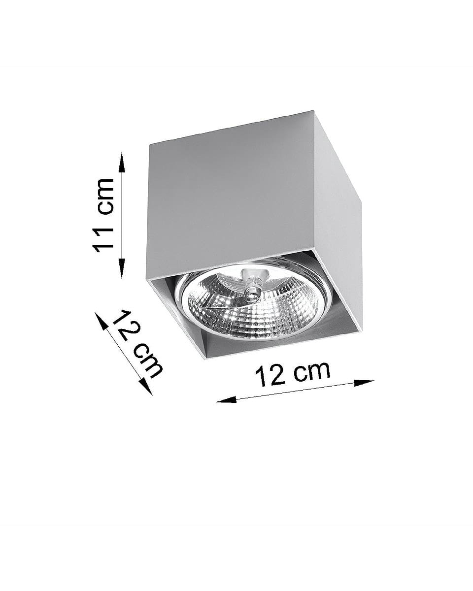 Szara lampa sufitowa Blake 1-punktowa, o kwadratowej podstawie 12 cm x 12 cm i wysokości 11 cm. Widoczny reflektor w środku, montowana na suficie. Prosty design, matowe wykończenie.