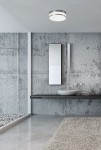 Malakka LED plafon 1-punktowy w okrągłej, metalicznej obudowie, zamontowany na szarym, gładkim suficie. Otoczony minimalistycznym wnętrzem z betonowymi ścianami, umieszczony nad nowoczesną umywalką i lustrem. Białe światło emitowane z plafonu.