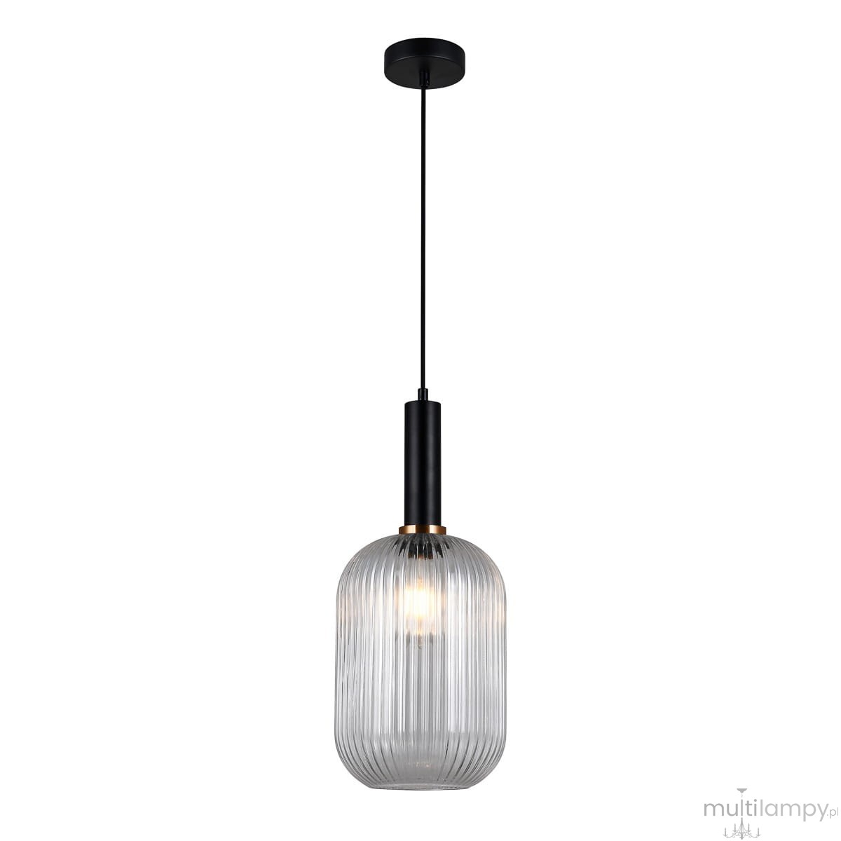 Lampa wisząca Antiola 1-punktowa w kolorze czarnym i przeźroczystym, z okrągłym kloszem o żłobionej fakturze. Ujęcie frontalne, zawieszona na cienkim kablu, z widoczną żarówką wewnątrz. Minimalistyczny design, idealna do nowoczesnych wnętrz.