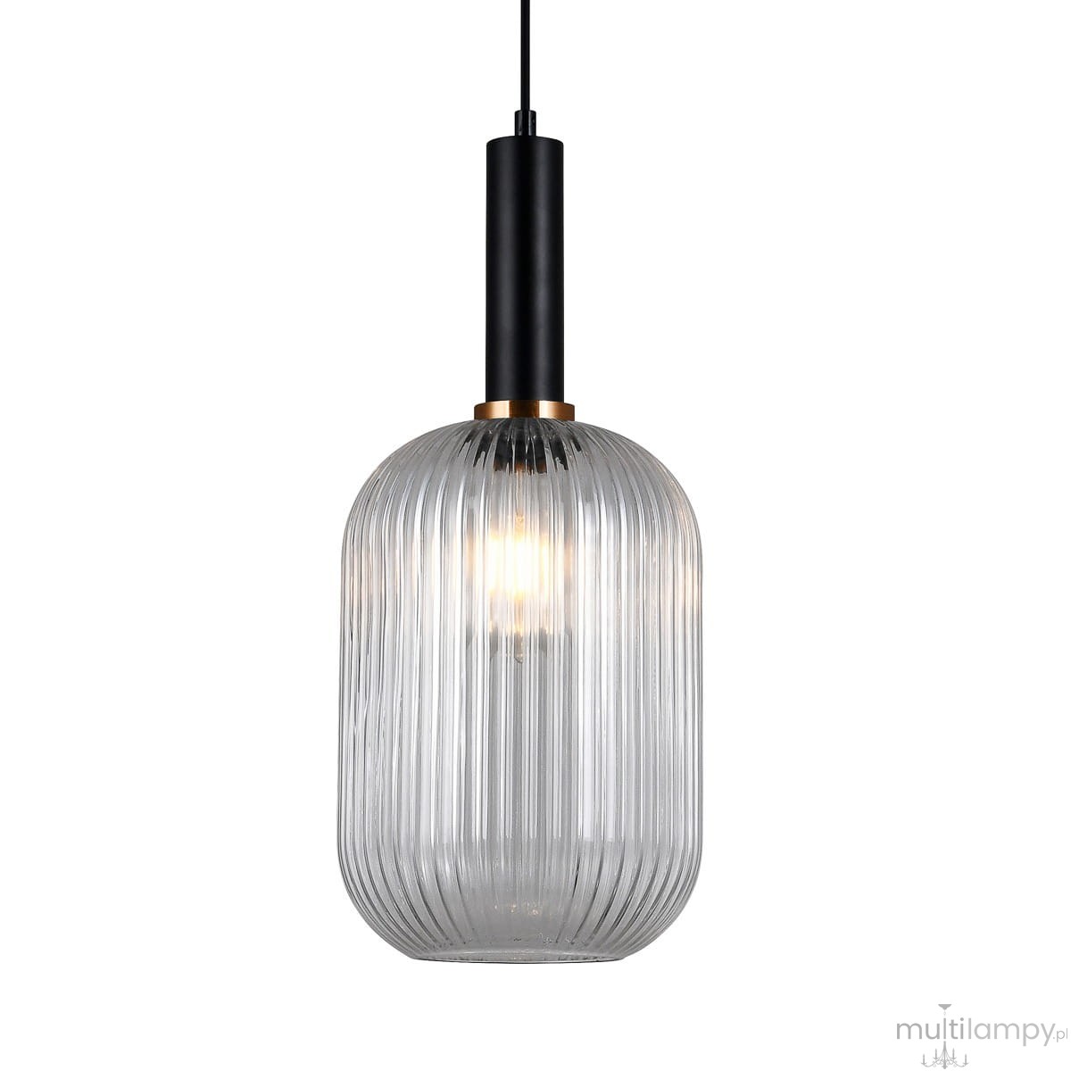 Czarna lampa wisząca Antiola z przezroczystym kloszem, o owalnym kształcie z pionowymi żłobieniami, zawieszona na cienkim kablu. Wykończenie z mosiężnym detalem u podstawy oraz widoczną żarówką wewnątrz.