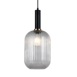 Czarna lampa wisząca Antiola z przezroczystym kloszem, o owalnym kształcie z pionowymi żłobieniami, zawieszona na cienkim kablu. Wykończenie z mosiężnym detalem u podstawy oraz widoczną żarówką wewnątrz.
