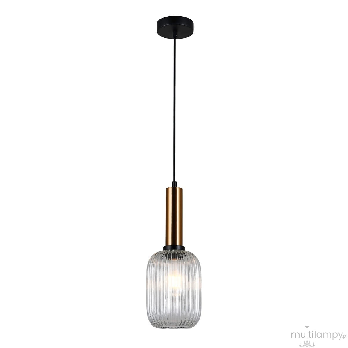 Lampa wisząca Antiola w kolorze mosiądzu i przezroczystym, z okrągłym kloszem o teksturowanej powierzchni, zawieszona na czarnym przewodzie. Klosz ma kształt prostokątny z zaokrąglonymi krawędziami, wisząca konstrukcja.
