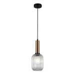 Lampa wisząca Antiola w kolorze mosiądzu i przezroczystym, z okrągłym kloszem o teksturowanej powierzchni, zawieszona na czarnym przewodzie. Klosz ma kształt prostokątny z zaokrąglonymi krawędziami, wisząca konstrukcja.