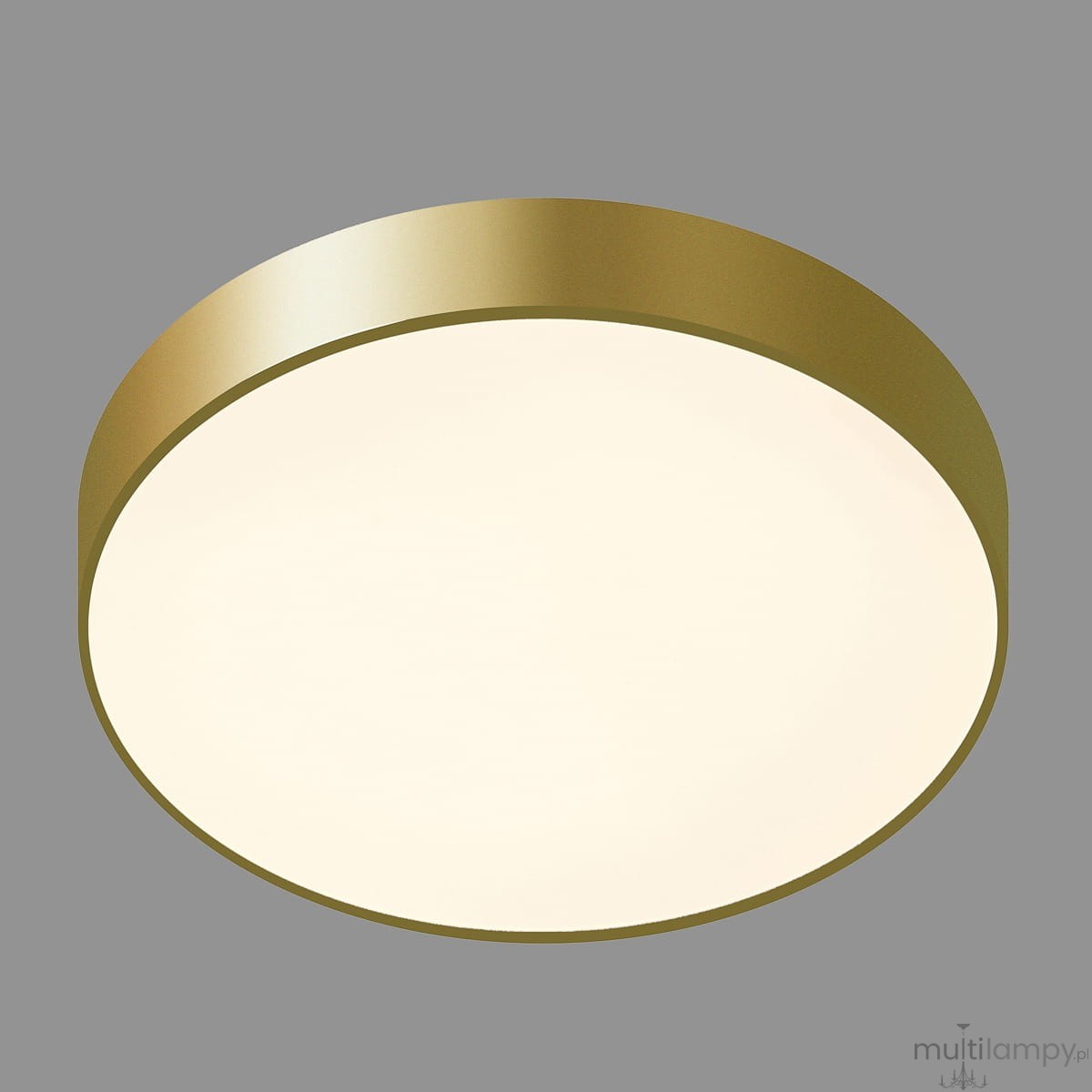Plafon Orbital D40 LED 3000K w kolorze złotym, o okrągłym kształcie, z matową, białą powierzchnią dyfuzora. Zainstalowany na szarym tle, z widocznym metalowym wykończeniem na obrzeżu.