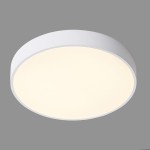 Plafon Orbital D40 LED 3000K w kolorze białym, o okrągłym kształcie. Montowany na suficie, z matowym kloszem, emitującym ciepłe światło. Widok z góry, na jednolitym tle.