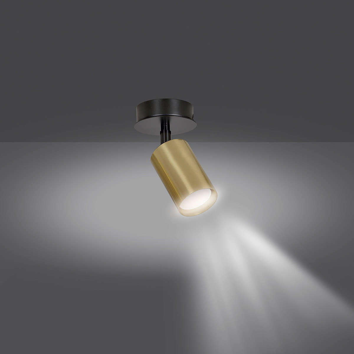 Czarna lampa sufitowa (spot) Zen 1-punktowa z cylindrycznym, złotym kloszem, montowana na suficie. Emituje skupione światło, tworząc efekt oświetlenia z widocznymi smugami na ścianie.