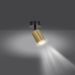 Czarna lampa sufitowa (spot) Zen 1-punktowa z cylindrycznym, złotym kloszem, montowana na suficie. Emituje skupione światło, tworząc efekt oświetlenia z widocznymi smugami na ścianie.