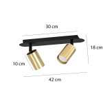 Czarna lampa sufitowa Zen z dwoma punktami świetlnymi, wykonana z metalu. Średnica reflektorów to 10 cm, długość 30 cm, szerokość 42 cm. Reflektory w kolorze złotym, zamocowane na prostokątnej podstawie. Idealna do nowoczesnych wnętrz.