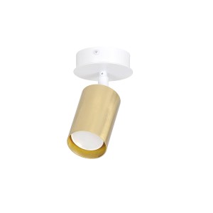 Zen lampa sufitowa (spot) 1-punktowa biała 623/1