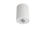 Bross lampa sufitowa 1-punktowa w białym kolorze, cylindryczny kształt z metalowym kloszem, widoczna żarówka w środku, zamontowana na suficie. Prosta, minimalistyczna konstrukcja, idealna do nowoczesnych wnętrz.