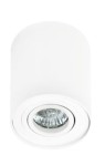Bross lampa sufitowa 1-punktowa w kolorze białym, o cylindrycznym kształcie. Zainstalowana na suficie, z widoczną żarówką w centralnej części, otoczona okrągłą ramką. Prosty design, idealna do nowoczesnych wnętrz.