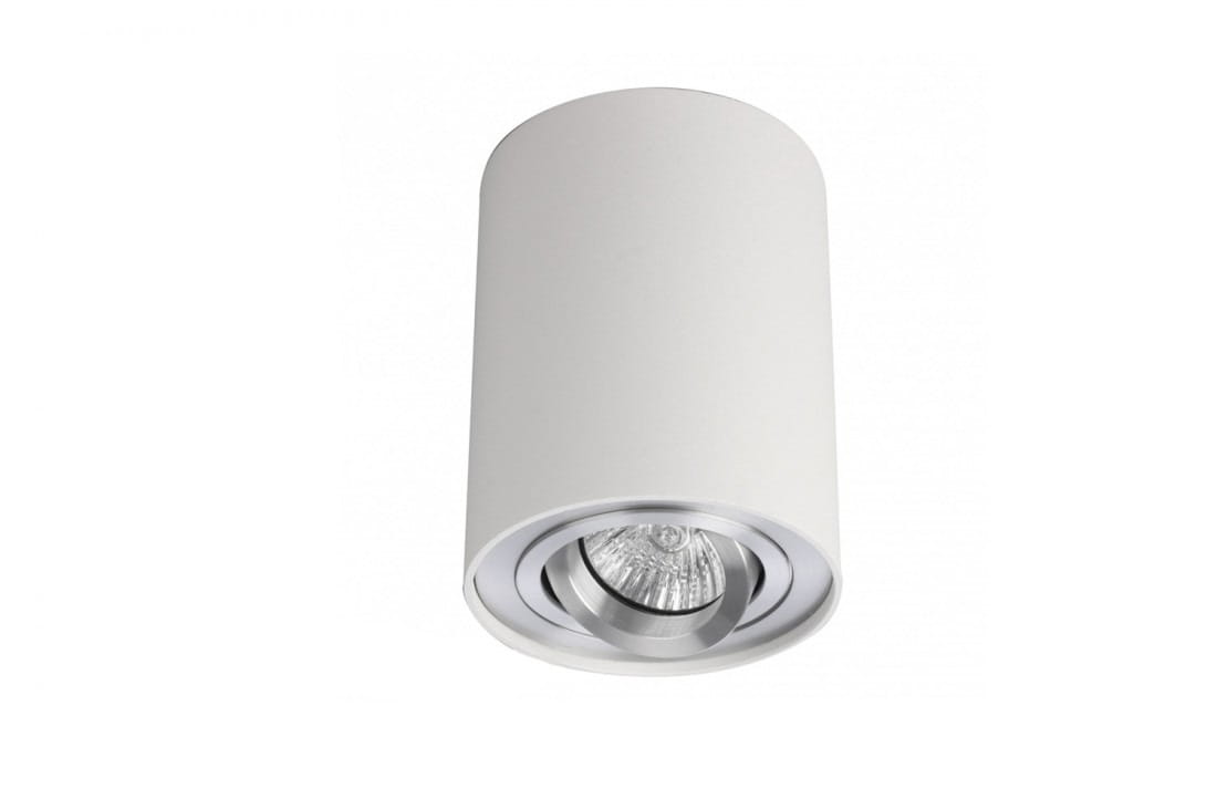 Bross lampa sufitowa 1-punktowa w kolorze białym i aluminium, cylindryczny kształt, zamontowana na suficie, z widoczną żarówką w środku, minimalistyczny design, idealna do oświetlenia wnętrz.