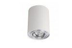 Bross lampa sufitowa 1-punktowa w kolorze białym i aluminium, cylindryczny kształt, zamontowana na suficie, z widoczną żarówką w środku, minimalistyczny design, idealna do oświetlenia wnętrz.