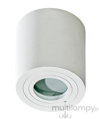 Biała lampa sufitowa Brant IP44 w kształcie cylindrycznym, z matową powierzchnią. Okrągłe mocowanie z widoczną żarówką w środku. Produkt zamontowany w pozycji wiszącej, odpowiedni do użytku wewnętrznego i zewnętrznego.