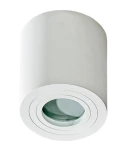 Biała lampa sufitowa Brant IP44 w kształcie cylindrycznym, z matową powierzchnią. Okrągłe mocowanie z widoczną żarówką w środku. Produkt zamontowany w pozycji wiszącej, odpowiedni do użytku wewnętrznego i zewnętrznego.