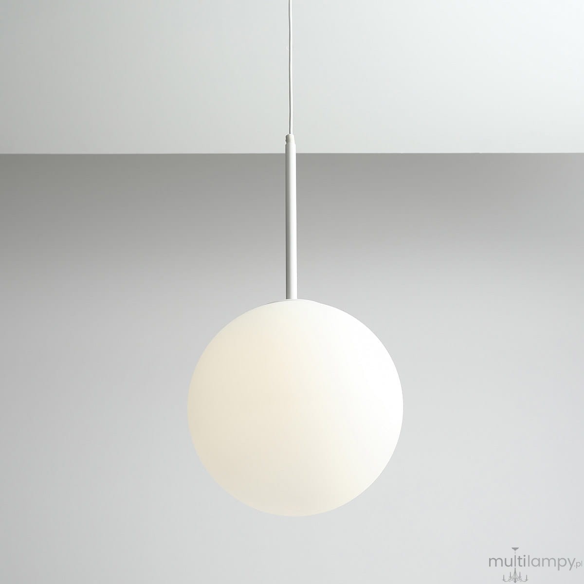 Lampa wisząca Bosso D30 w kolorze białym, z okrągłym kloszem z matowego szkła. Zawieszona na cienkim, białym przewodzie, w pozycji wiszącej, na jednolitym, jasnym tle. Prosty, nowoczesny design idealny do różnych aranżacji wnętrz.
