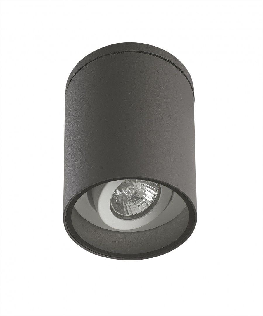 Lampa sufitowa elewacyjna Adela 1-punktowa, o cylindrycznym kształcie, w kolorze ciemnoszarym. Zainstalowane źródło światła jest widoczne w centralnej części, a lampa jest montowana na suficie.