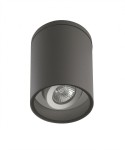 Lampa sufitowa elewacyjna Adela 1-punktowa, o cylindrycznym kształcie, w kolorze ciemnoszarym. Zainstalowane źródło światła jest widoczne w centralnej części, a lampa jest montowana na suficie.