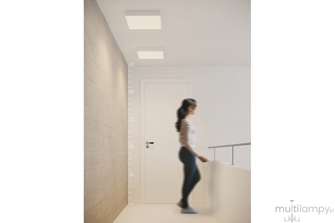 Biały plafon LED Monza S 40 3000K, prostokątny, zamontowany na suficie w korytarzu. W tle widoczna drzwi oraz pionowa miarka. Produkt o minimalistycznym designie, dobrze doświetlający przestrzeń.