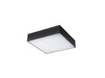 Plafon LED Monza S 40 z czarną, prostokątną obudową. Posiada mleczne, matowe szkło, emitujące światło o temperaturze barwowej 3000K. Montowany na suficie, w pozycji poziomej. Idealny do nowoczesnych wnętrz.