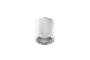 Joe Tube lampa sufitowa elewacyjna 1-punktowa biała AZ3315