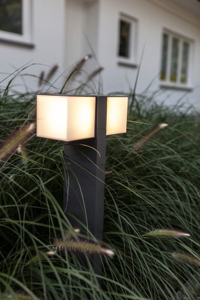Cuba LED H75 lampa stojąca ogrodowa 2-punktowa, regulowana, ciemnoszara. Zestaw dwóch prostokątnych kloszy na smukłej podstawie, umieszczony w wysokiej trawie. Oświetlenie w nowoczesnym stylu, idealne do ogrodu.