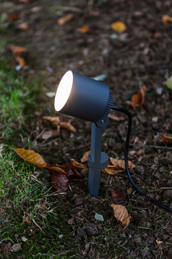 Lampa stojąca ogrodowa Explorer LED H43 w kolorze ciemnoszarym, z regulowanym reflektorem. Ustawiona na ziemi, z widocznym kablem. W otoczeniu trawy i opadłych liści. Idealna do oświetlenia przestrzeni zewnętrznej.
