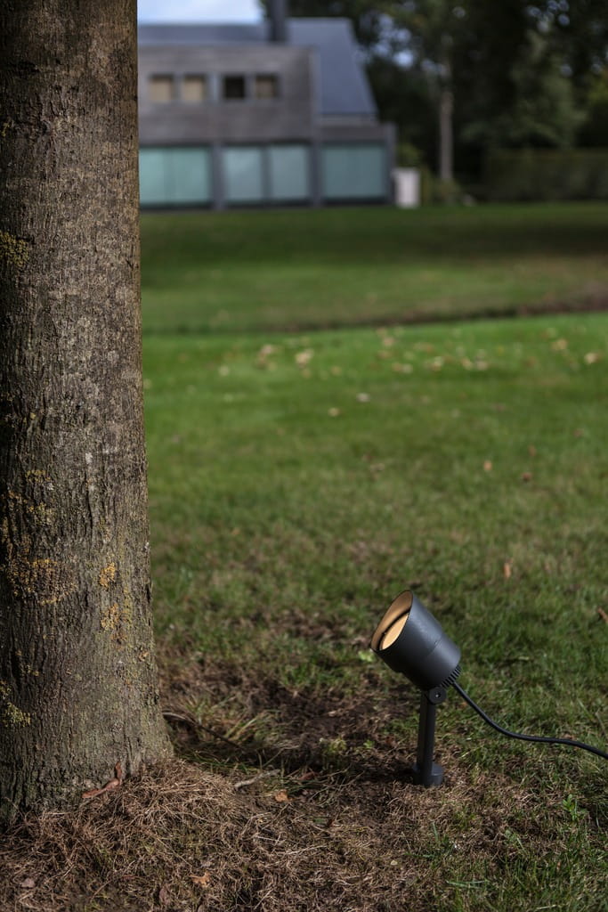 Ciemnoszara lampa stojąca ogrodowa Explorer LED H43, regulowana, ustawiona obok drzewa na trawie. Zbliżenie na lampę w pozycji skierowanej w górę, widoczny kabel zasilający. Tło z budynkiem i zielonym otoczeniem.