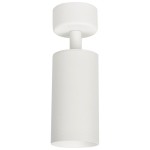 Lampa sufitowa Mica 1-punktowa w kolorze białym, o cylindrycznym kształcie. Zawieszona na okrągłej podstawie, z matowym wykończeniem. Oświetlenie skierowane w dół, idealna do nowoczesnych wnętrz.