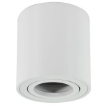 Mini lampa sufitowa Valse w kształcie białej tuby, z widocznym otworem na żarówkę. Ujęcie frontalne, lampa zamontowana pod sufitem, z gładką, matową powierzchnią. Idealna do oświetlenia kierunkowego w nowoczesnych wnętrzach.