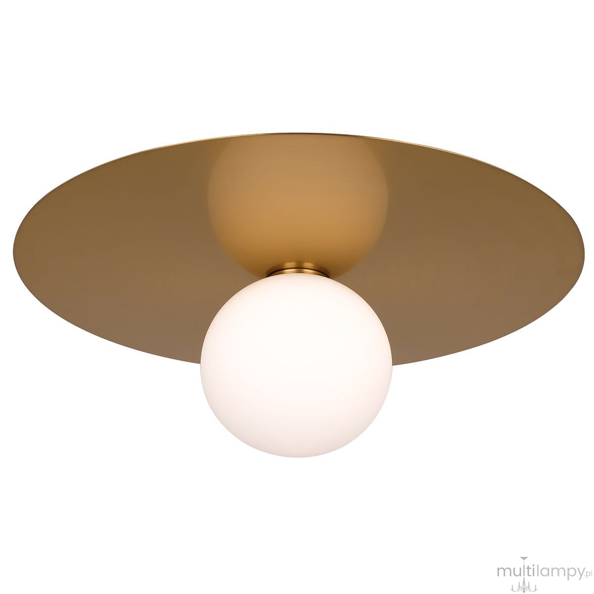Lampa sufitowa Cape Town 1-punktowa C01919BR z okrągłym, białym kloszem i złotą, płaską podstawą. Produkt zamontowany na suficie, widoczne detale wykończenia. Idealna do nowoczesnych wnętrz.