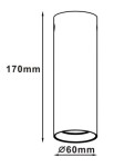 Lampa sufitowa Manacor H17 1-punktowa w kolorze białym i złotym, o wysokości 170 mm i średnicy 60 mm. Prosta, cylindryczna konstrukcja, idealna do nowoczesnych wnętrz.