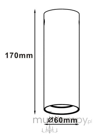 Lampa sufitowa Manacor H17 w kolorze czarnym i złotym, o cylindrycznym kształcie. Wymiary: wysokość 170 mm, średnica 60 mm. Prosty design, idealna do nowoczesnych wnętrz.
