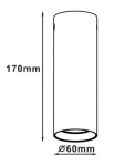 Lampa sufitowa Manacor H17 w kolorze czarnym i złotym, o cylindrycznym kształcie. Wymiary: wysokość 170 mm, średnica 60 mm. Prosty design, idealna do nowoczesnych wnętrz.