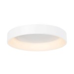 Ohio LED D45 plafon biały ML232