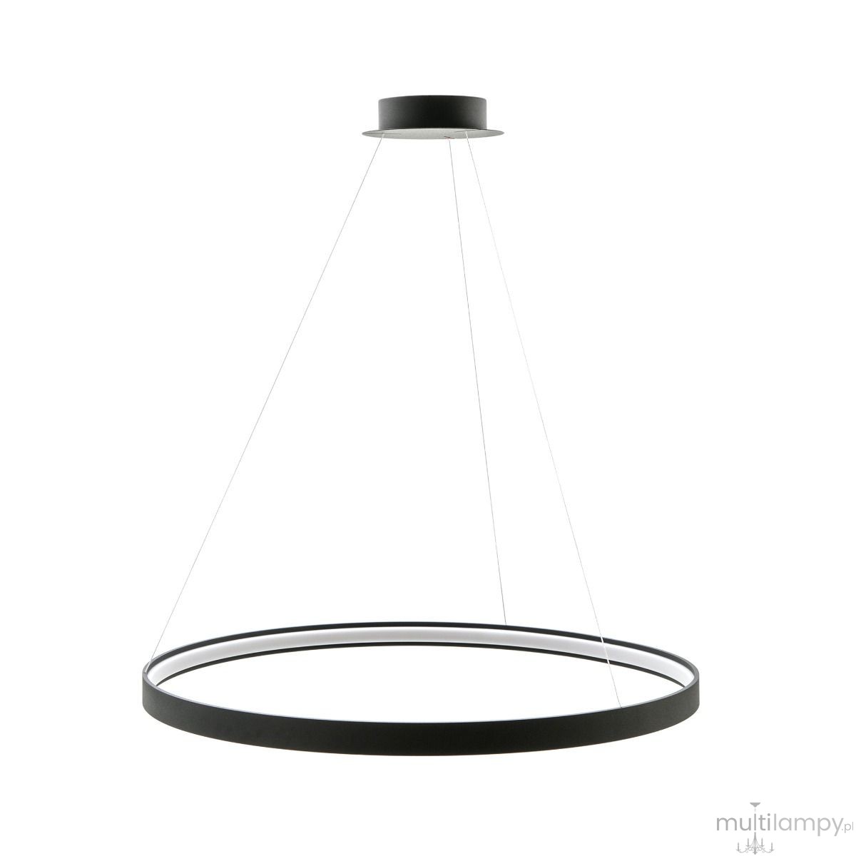 Czarna lampa wisząca Circle LED D110, 1-punktowa, o okrągłym kształcie. Widoczny metalowy stelaż z cienkim pierścieniem. Zawieszona na sznurach, umieszczona pod sufitem, z neutralnym tłem. Idealna do nowoczesnych wnętrz.