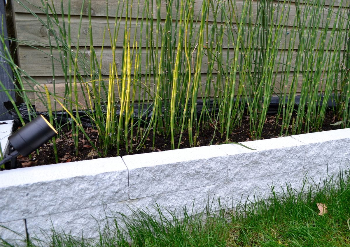 Czarna oprawa dogruntowa Arne 14868/05/30 zamontowana na ziemi, skierowana w stronę roślinności. W tle widoczna szara, betonowa obrzeże rabaty kwiatowej z zielonymi łodygami roślin. Tło drewniane, a w dolnej części zdjęcia trawa.