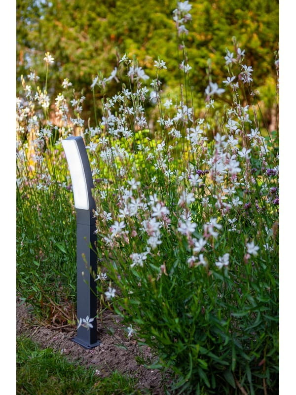 Lampa stojąca Kira LED H74 w ciemnoszarym kolorze, o łukowatej formie, umieszczona w ogrodzie wśród białych kwiatów. Widoczna jasna część emitująca światło, zamontowana na prostokątnym podstawie. Tło zielone, z roślinnością.
