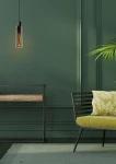 Czarna lampa wisząca Orlando z przezroczystym kloszem, zawieszona na czarnym przewodzie. Widoczna żarówka w środku, otoczona zieloną ścianą. W tle mebel z drewnianym blatem i metalowym stelażem oraz zielona sofa z poduszką w liście.