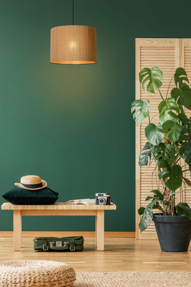 Lampa wisząca Magius 1-punktowa w kolorze czarnym, o cylindrycznym kształcie, zawieszona na cienkim przewodzie. Tło w kolorze zielonym z drewnianymi elementami i roślinnością, w aranżacji z drewnianym stolikiem i dodatkami dekoracyjnymi.
